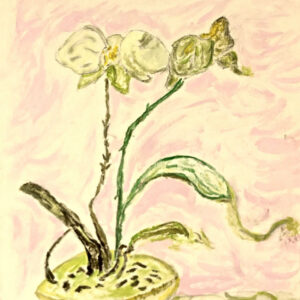 Francis U. Cochran Butterfly Orchid_0854