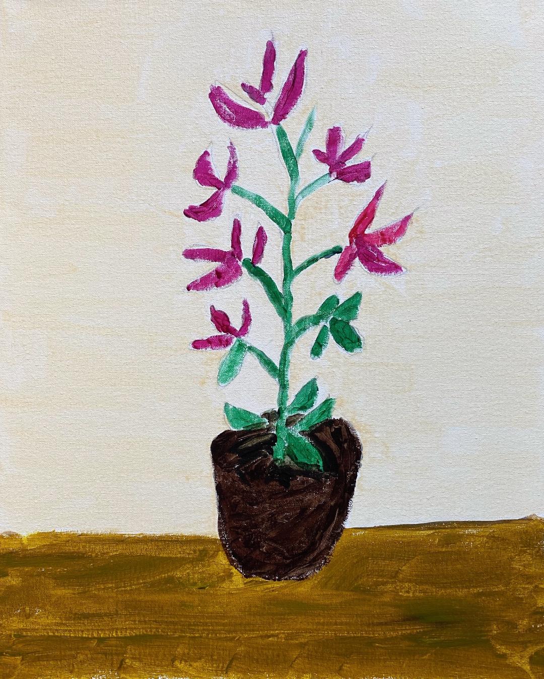 Potted Orchid - Jeannette